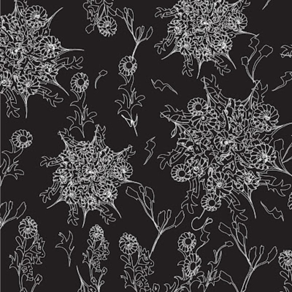 Meet your Posher, Aleni - Picture 1 of 1